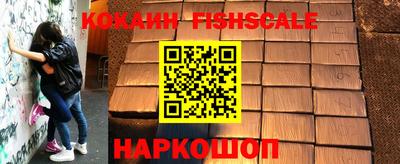 гашик Камышлов
