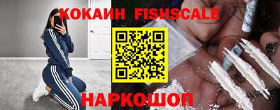 гашик Камышлов