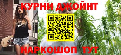 гашик Камышлов