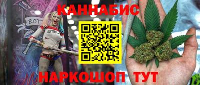 гашик Камышлов