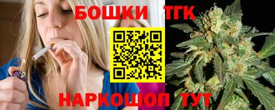 гашик Камышлов