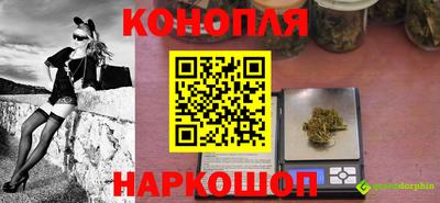 гидропоника Канаш