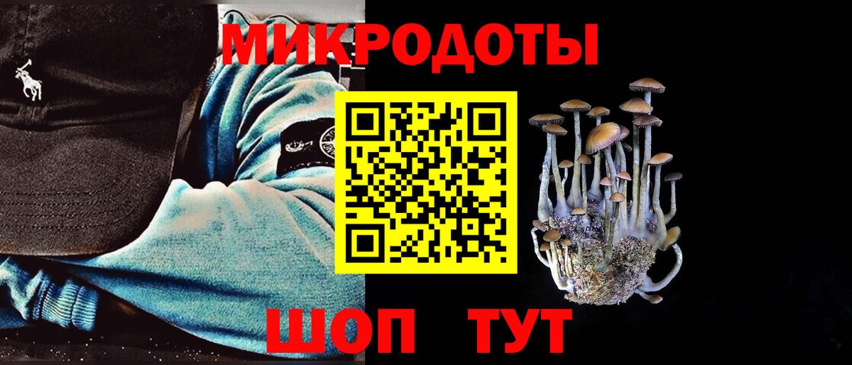 закладки  Галлюциногенные грибы прущие грибы  Вход с VPN  Камень-на-Оби 